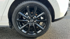 Mazda 3 2.5 e-Skyactiv G MHEV [140] Homura 5dr Petrol Hatchback